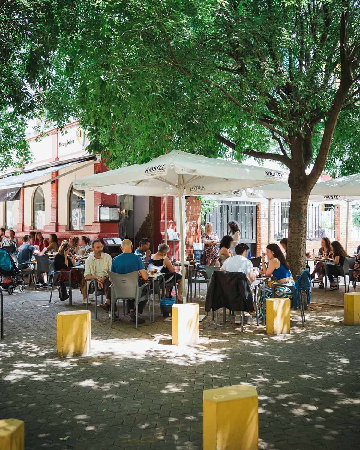people eating at tables under a tree and shade umbrellas.