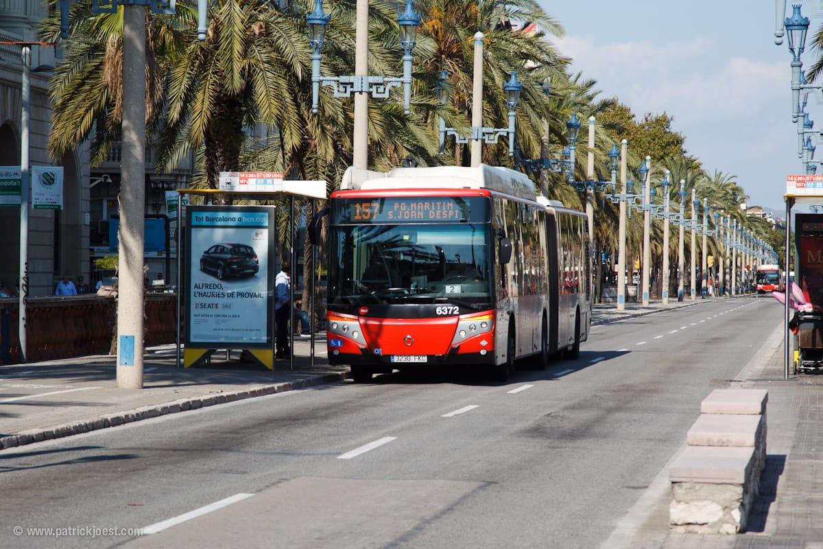 city bus driving down a palm tree lined street in Barcelona.