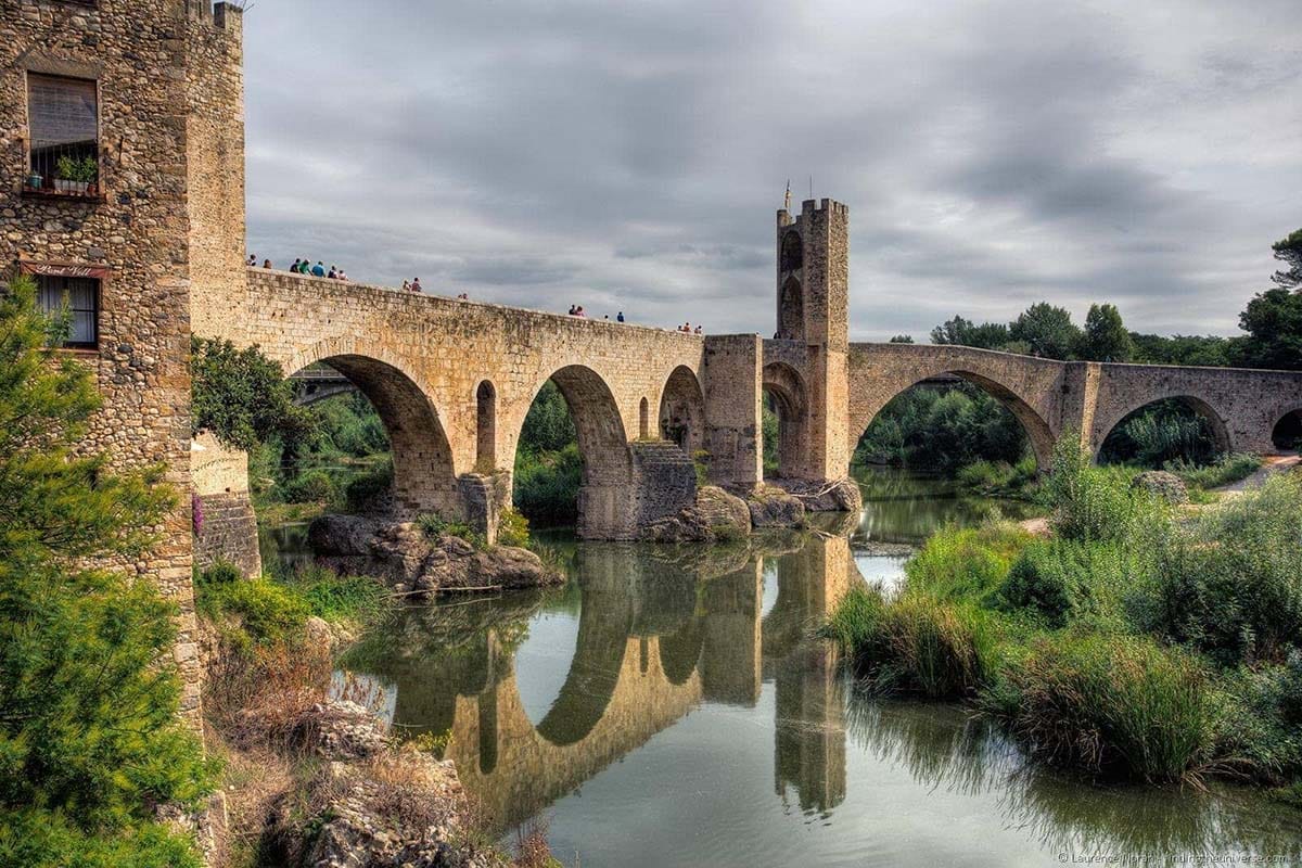 medieval stone bridge over a river with plants growing in it.