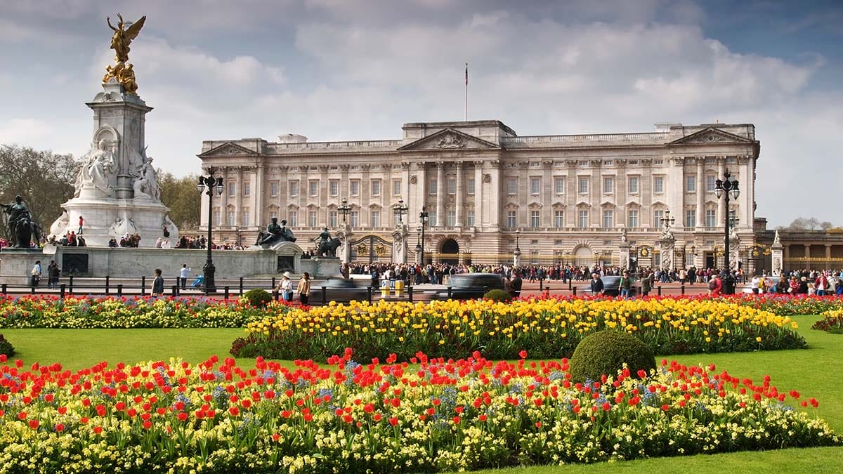 flowers blooming in front of Buckingham Palace.