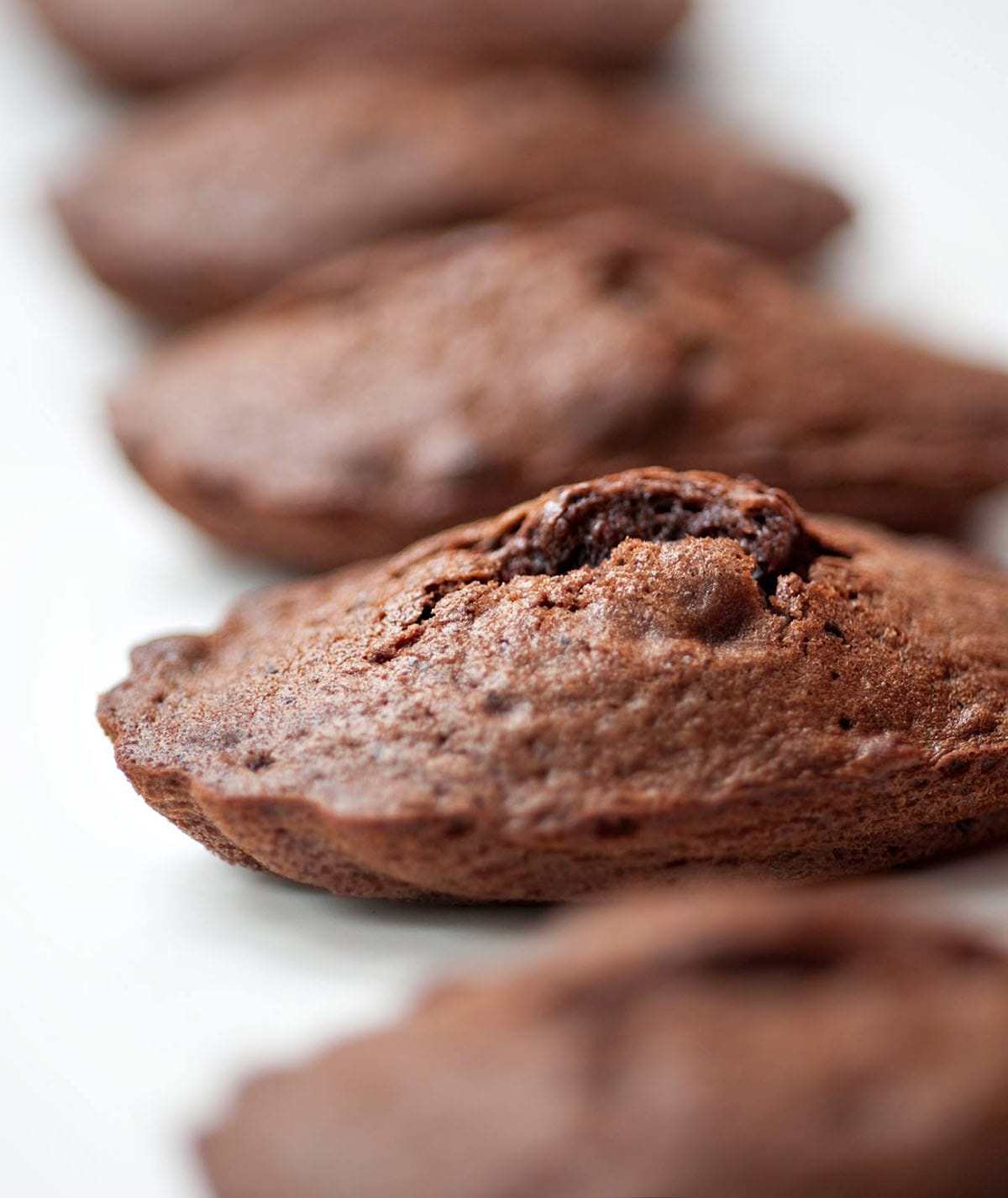 closeup of a line of chocolate madeleines on a white background.