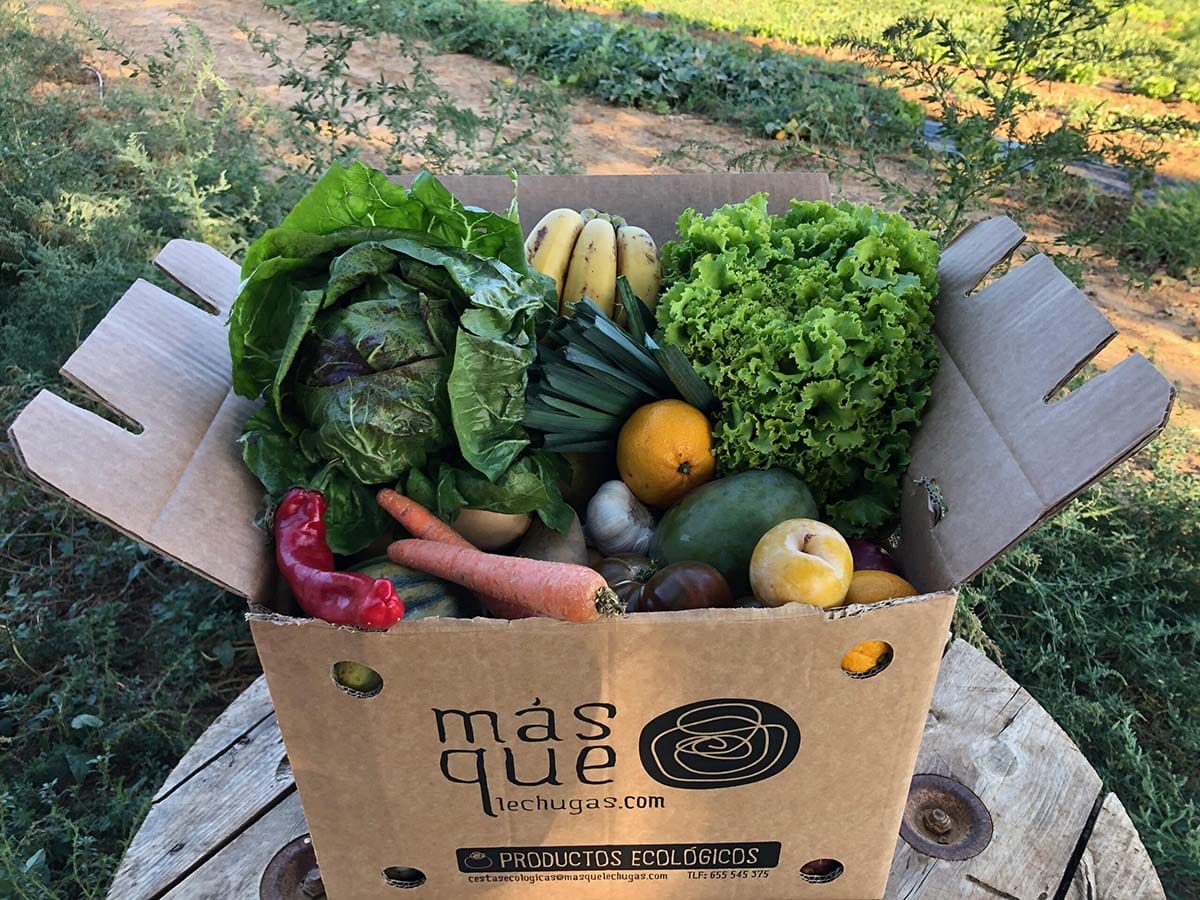 large cardboard box filled with veggies like cabbage, onions, lemons, apples, peppers, carrots, and bananas.