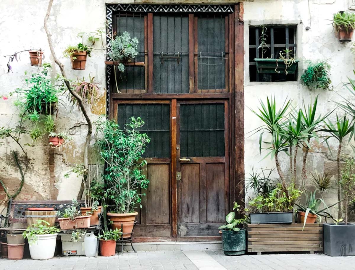 hanging plants and potted plants near a wooden door.
