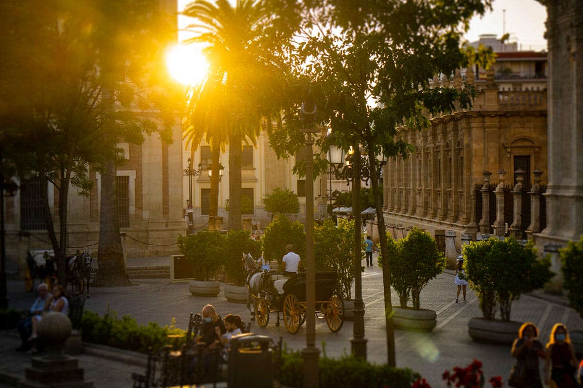 horse-drawn carriage going through a tree-lined square surrounded by historic buildings.