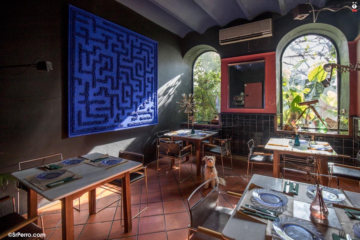 tables and chairs in a sunlit, tiled restaurant with arched windows overlooking a garden.