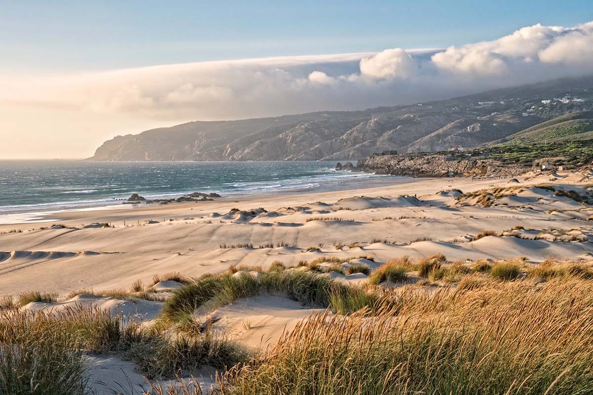white sand beach with dunes at sunset.