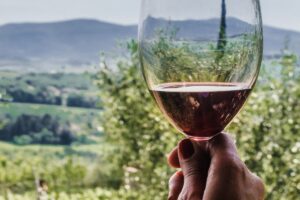 Tuscan Wine: A Complete Guide to Tuscany’s Finest Wines