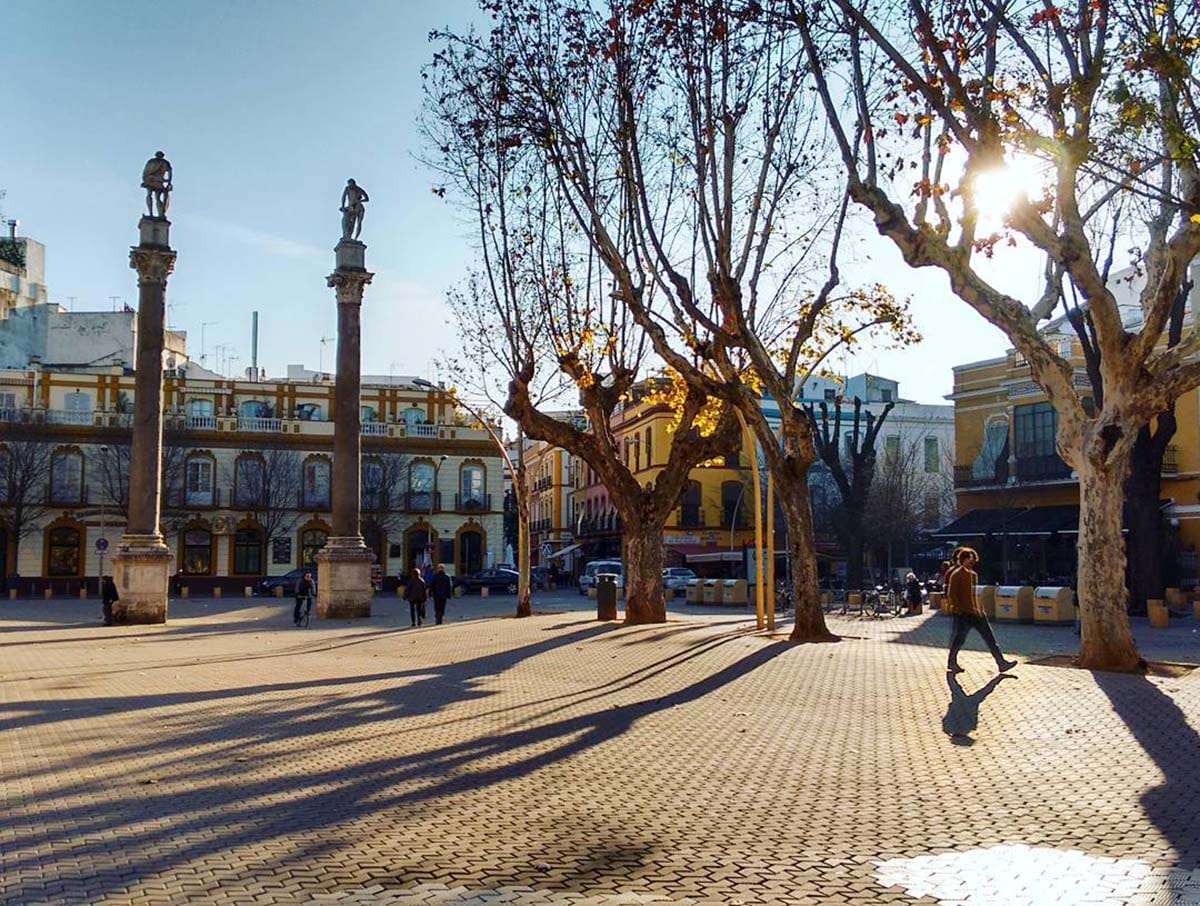 square with large, old trees and buildings around the perimeter.